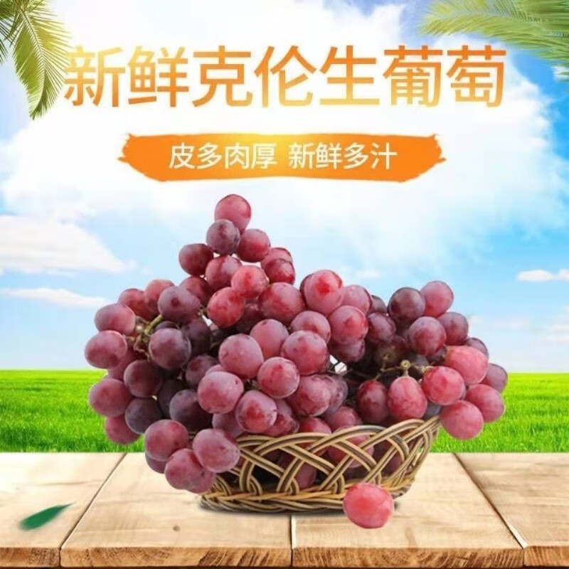 鹏翔宇【顺丰包邮】克伦生无籽红提葡萄脆甜红宝石提子当季新鲜孕妇水果 净重2斤【单人套餐】脆甜无籽