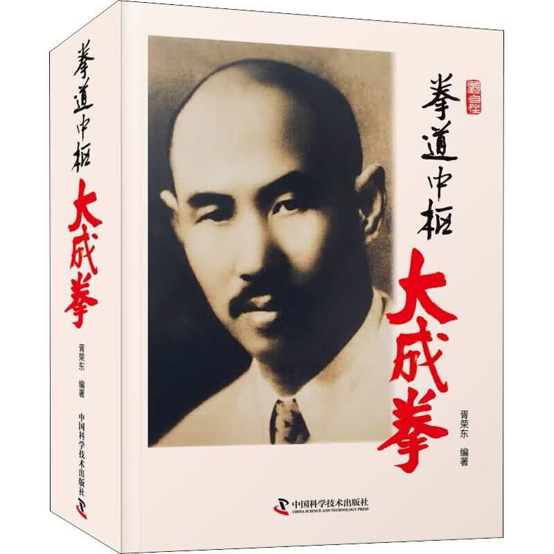拳道中枢 大成拳 图书