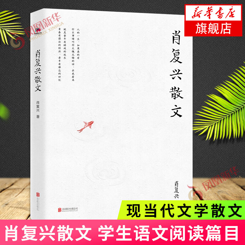 肖复兴散文 肖复兴著 收录花边饺和拥你入睡中小学语文阅读篇目 手绘