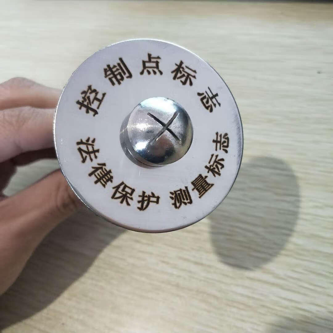 控制点水准点位移沉降观测点标钉测量标志刻字 控制点标志(301不锈钢)