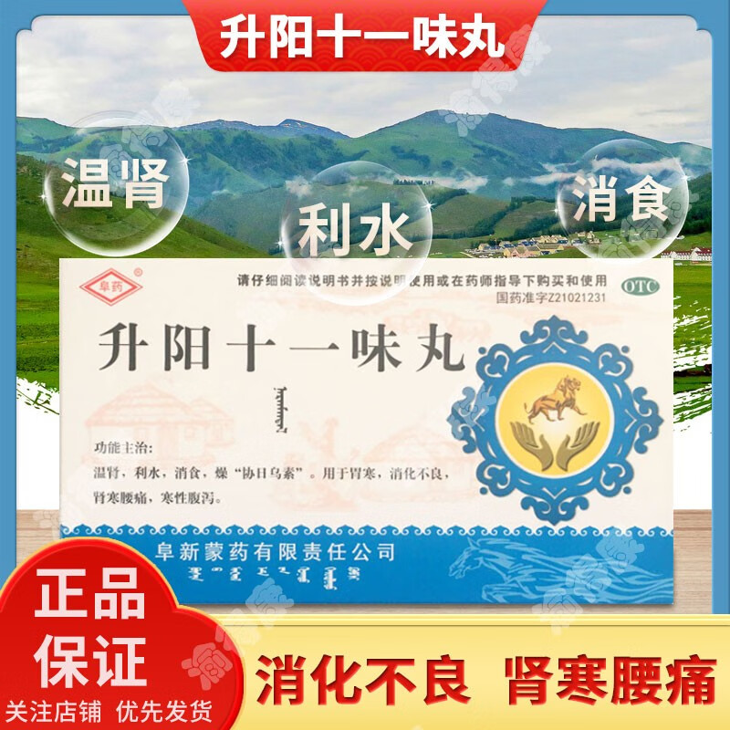 升阳十一味丸60粒阜新蒙药 胃寒凉消化不良温肾腰痛寒性腹泻利水消食