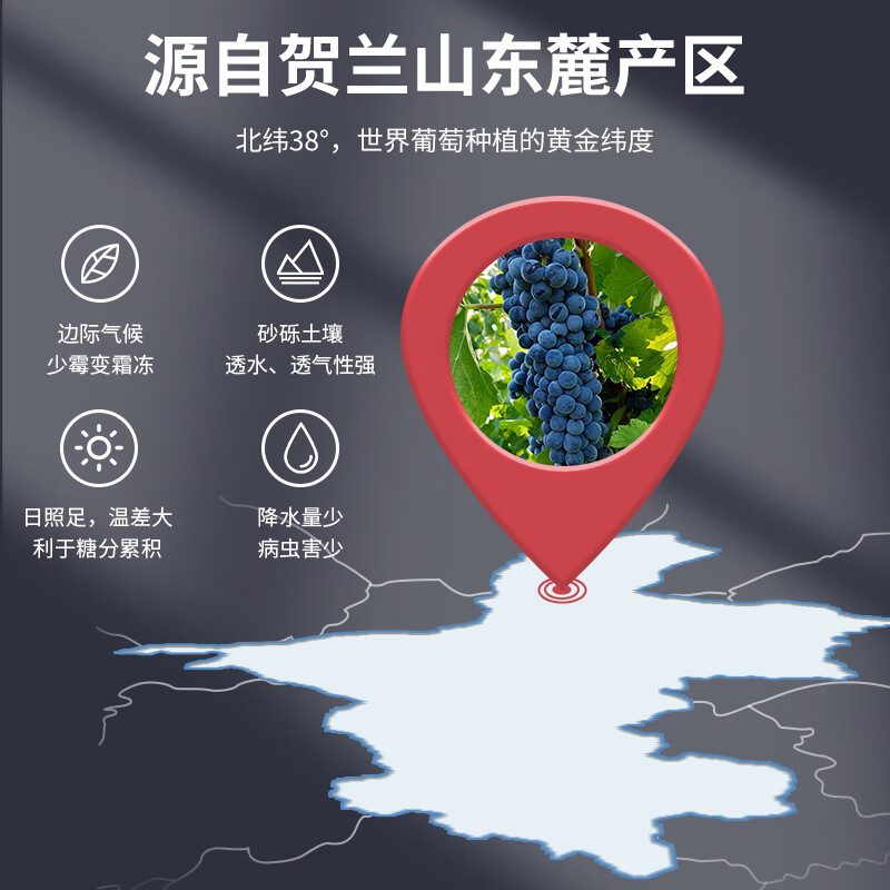 圆润(YUAN RUN)【热门商品】宁夏葡萄酒 圆润国产经典黑比诺干红葡萄酒14度750ml 宝石红 整箱6支装