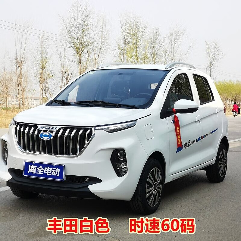 电动汽车成人四轮车女士家用接送孩子代步油电混合四轮电动车爬坡王