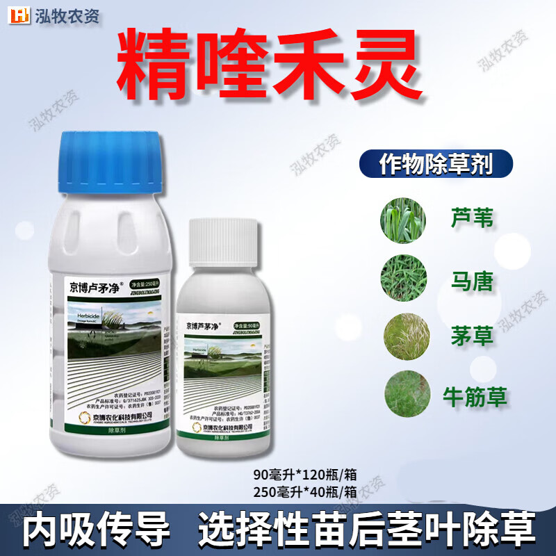 京博芦茅净精喹禾灵除芦苇大豆牛筋草苗圃池塘专杀芦苇茅草烂根药除草剂农药 500ml