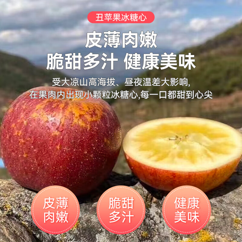 【盐源助农馆】盐源苹果高山老树果大凉山丑苹果2025水果礼盒 礼盒15枚至尊果90mm+ 净重8.5斤+