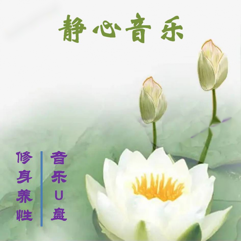 汽车音乐u盘静心轻音乐车载u盘胎教曲催眠曲促睡眠茶室大自然mp3优盘