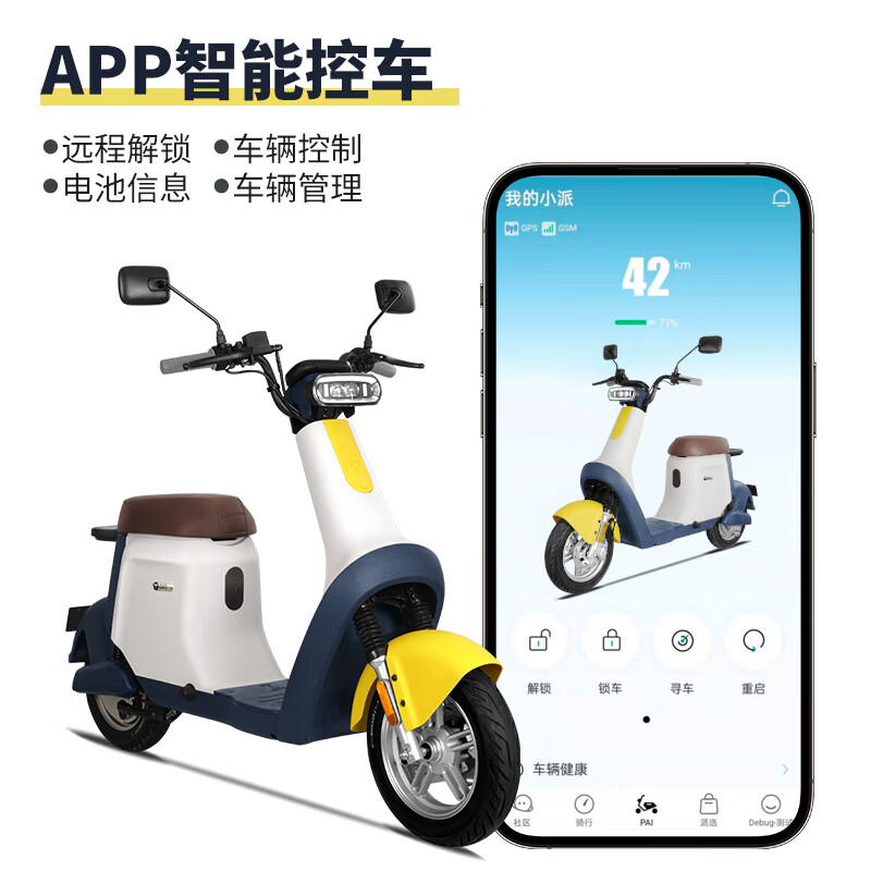 派电pai派电电动自行车dm2 智能电动车48v锂电池 蓝色