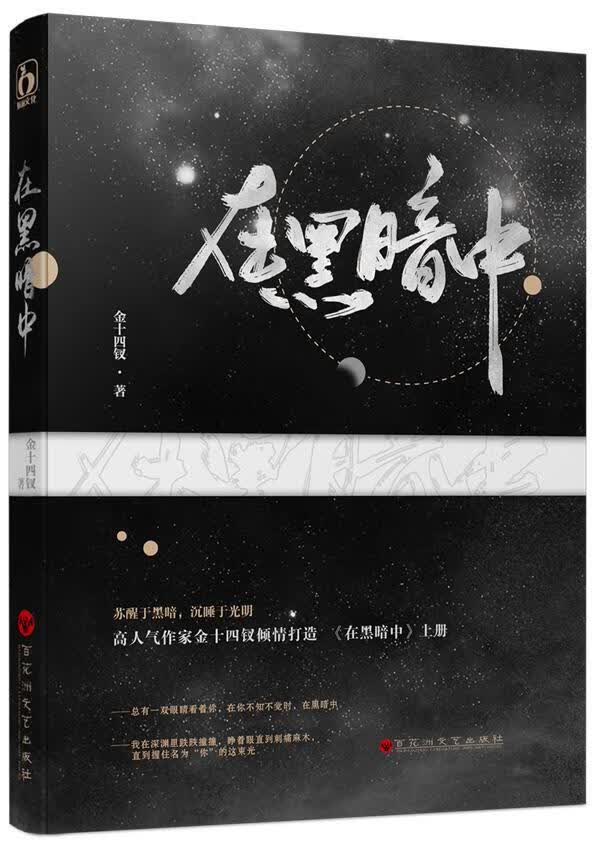 全新现货速发 在黑暗中 9787550034648  金十四钗 百花洲文艺出版社