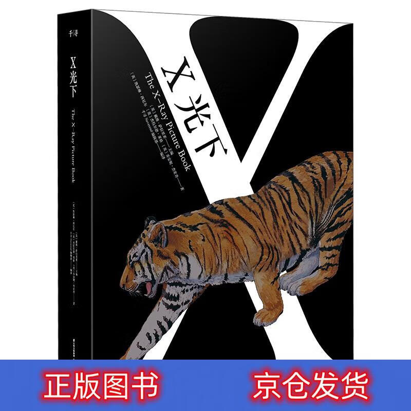 正版 千寻小孩·x光下(全2册) 科普/百科 丛书 全2册