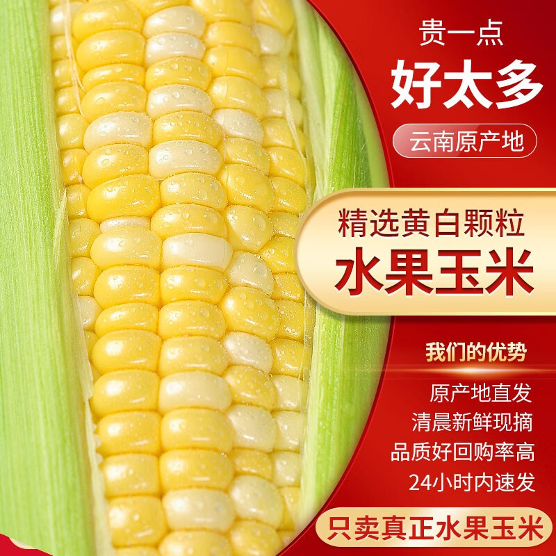 中鲜生云南水果玉米 新鲜甜玉米 现摘玉米棒 生鲜蔬菜可生吃火锅食材 9斤 水果玉米【净重】约9-16根