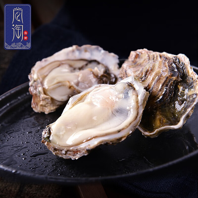 尚淘 生蚝 大号鲜活生蚝 新鲜三倍体牡蛎 净重4斤一箱  清蒸烧烤 特大