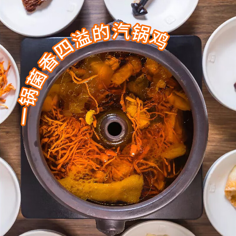 德国进口品质汽锅鸡锅小美tm6tm5配套专用鸡蒸家用建水紫砂气锅美善品