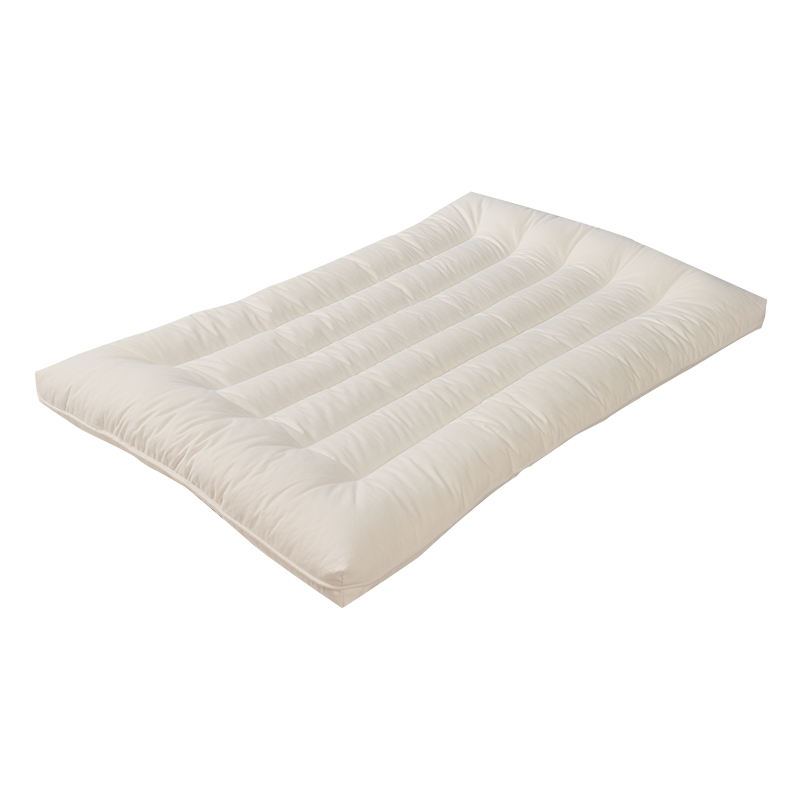艾维（I-WILL） 全棉枕头 可水洗 适软枕芯 学生低枕 一对拍2 全棉柔软低枕 单只装 48*74cm100024016520