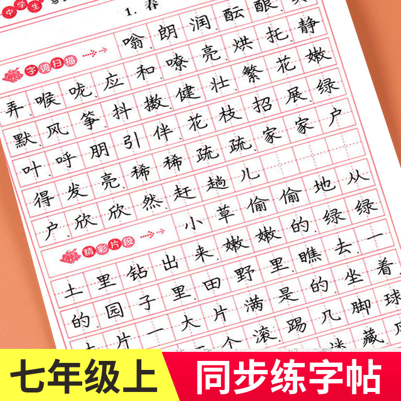 语文练字帖正楷硬笔书法练字写字本天天练中学生钢笔楷书生字词习字帖