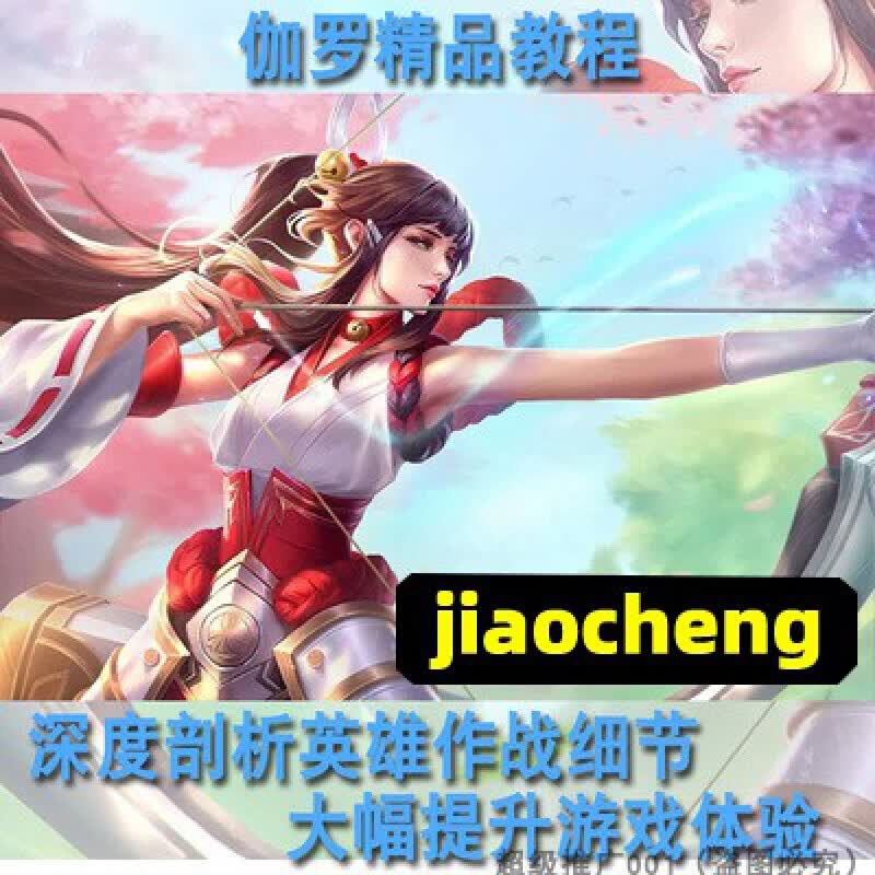 王者荣耀 伽罗技巧意识 射手国服职业玩家进阶视频教学程玩法