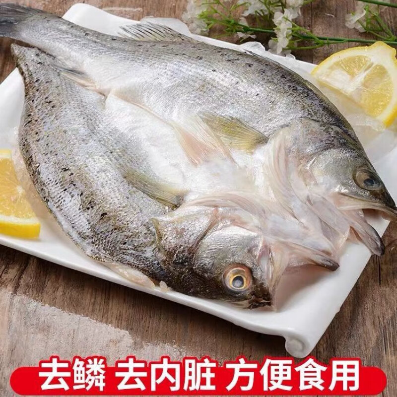 新鲜大鲈鱼开背鲈鱼三去七星海鲈鱼鲜活海鲜水产 罗菲迪新 开背鲈鱼3