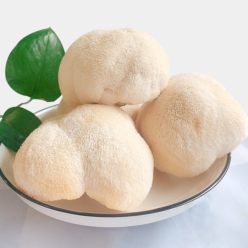 古松古田新鲜猴头菇2斤 现摘现发食用鲜菌菇鲜蘑菇煲汤食材 新鲜猴头菇使用感如何?