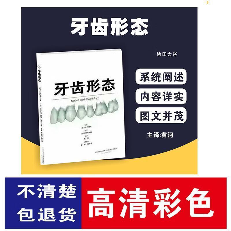 牙齿形态
