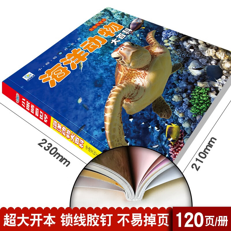 海洋动物大百科 彩图注音版科普读物 小眼睛看世界儿童科学启蒙认知百科全书暑假阅读暑假课外书课外暑假自主阅读暑期假期读物详情图
