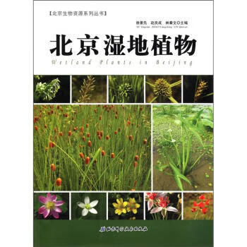 北京生物资源系列丛书:北京湿地植物 徐景先 等 编 北京科学技术出版社【正版图书】
