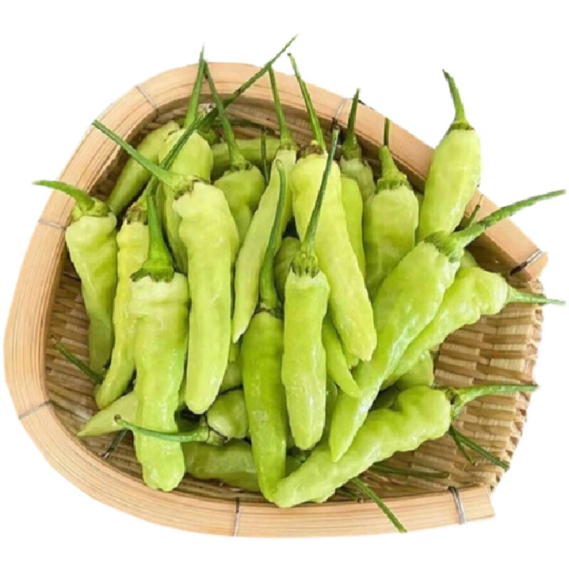 味蕾乐 小米辣云南特产临沧耿马农家种植超特辣小米椒泡椒辣现摘现发