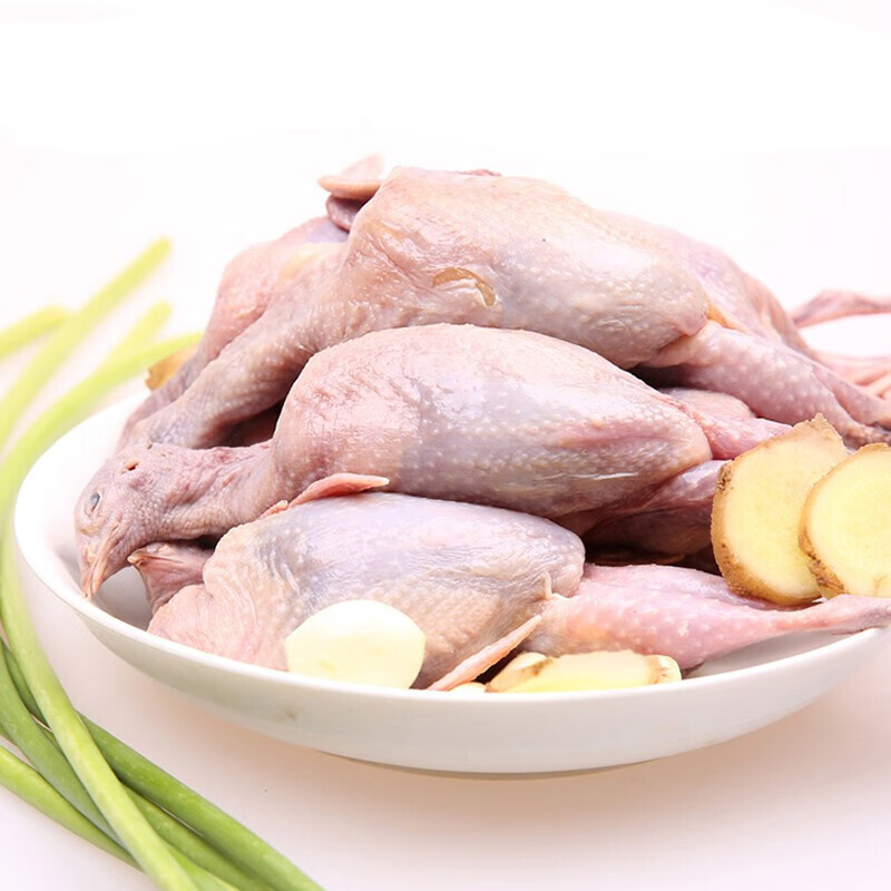 淘宝优惠券_京东优惠券_拼多多优惠券_美团&饿了么