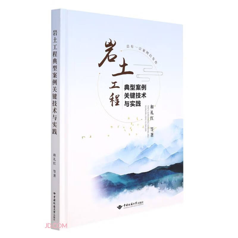 岩土工程典型案例关键技术与实践(精)