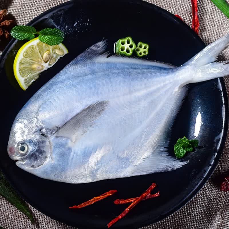 虾有虾途银鲳鱼白鲳鱼特大鲳鱼生鲜 鱼类新鲜冷冻银昌鱼海鱼平鱼海鲜批发 特大银鲳鱼【3斤】装每斤约3-4条