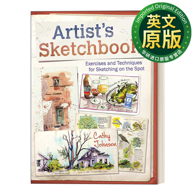 艺术家的速写本:绘画练习和技巧,现场写生 英文原版 artists sketch