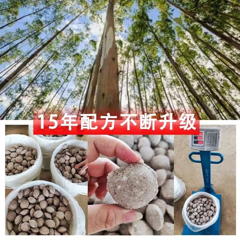 顾致桉树专用肥料原装八角高浓度大颗粒通用型缓释肥懒人桉树肥 5斤装