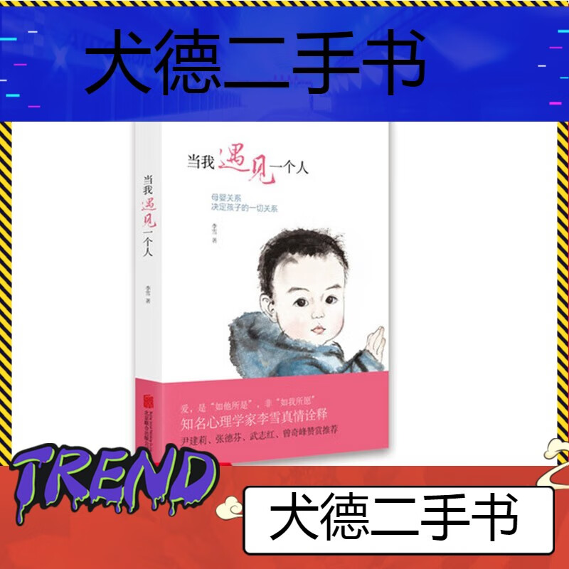 【二手9成新】【磨铁旗舰店】当我遇见一个人李雪李雪的书