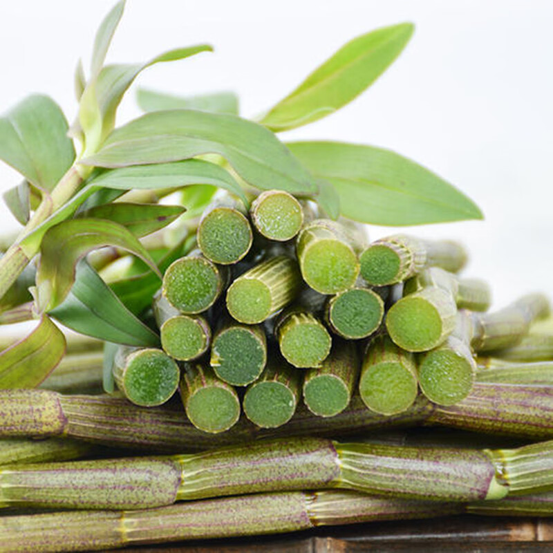 云南铁皮石斛 新鲜铁皮石斛条 高原海拔仿野生石斛农副产品滋补榨汁