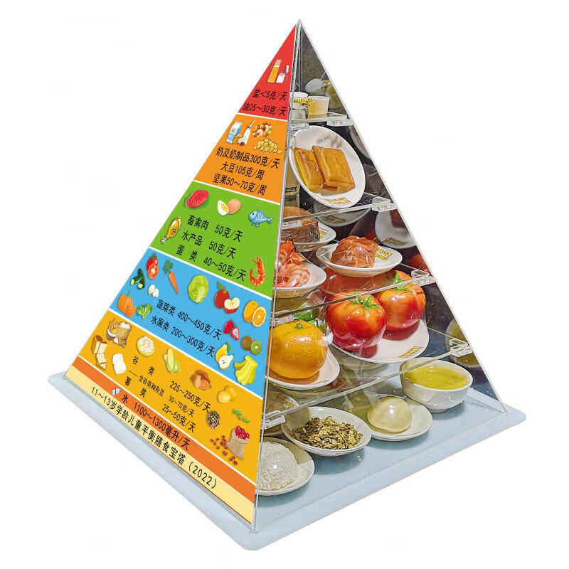2022新款2022新版中国11-13岁学龄儿童平衡膳食宝塔模型学龄儿童营养