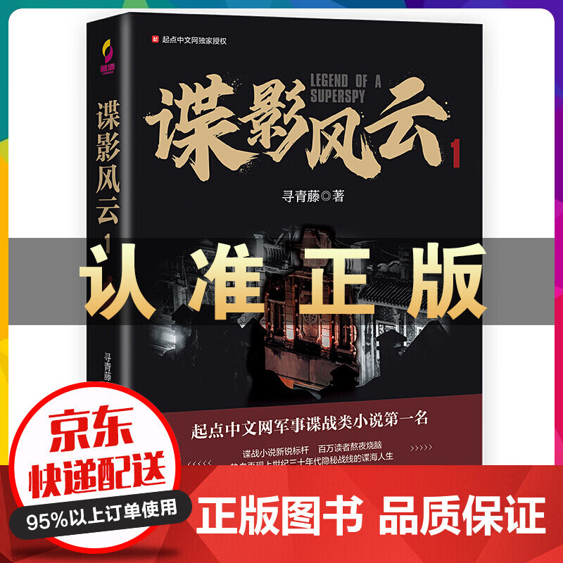 谍影风云 1 谍战类小说
