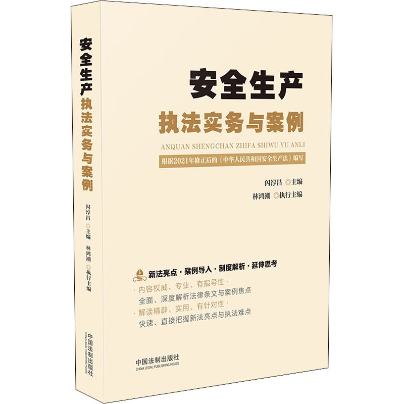 安全生产执法实务与案例 图书