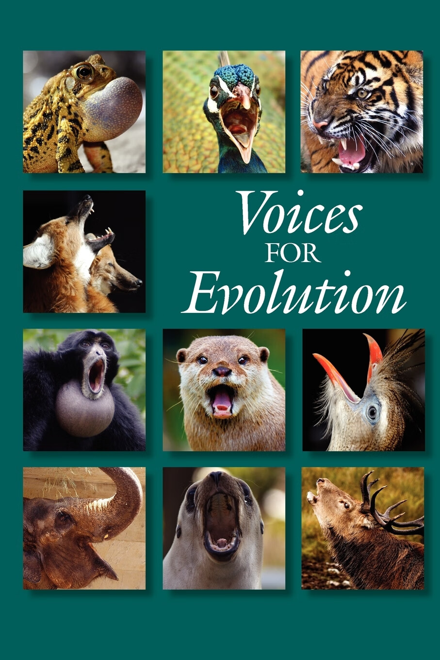 预售 按需印刷voices for evolution