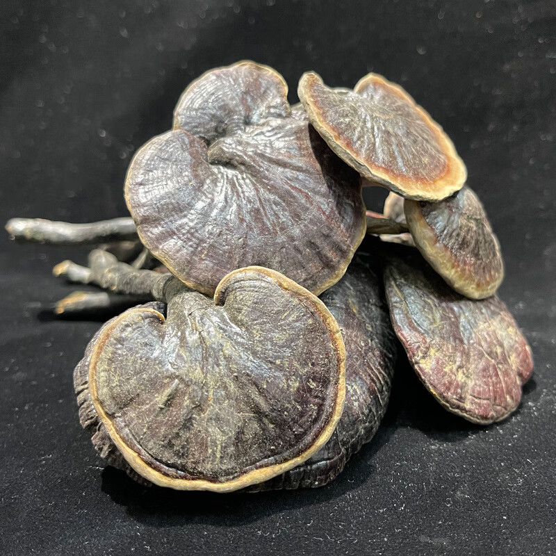 灵芝孢子粉历史价格软件|灵芝孢子粉价格历史