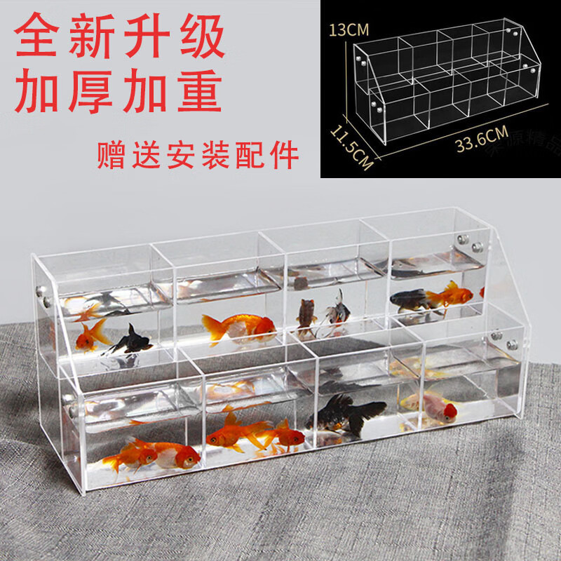 语礼斗鱼排缸多格鱼缸泰国斗鱼亚格力专用排缸小型阶梯陈列隔离 二层