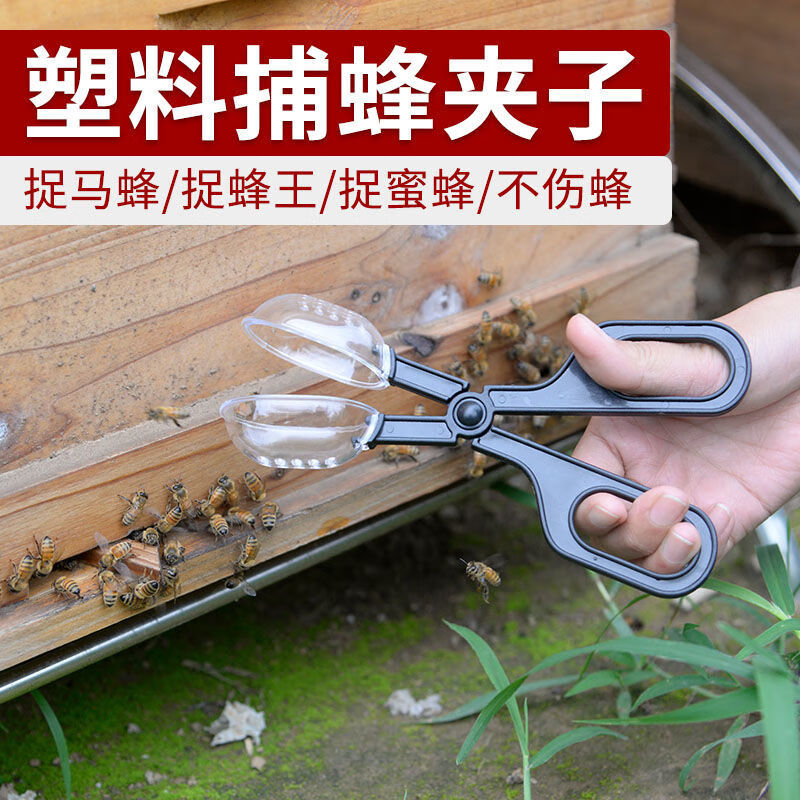 蜂之家 捕蜂夹子野外捉抓马蜂胡蜂蜂场专用工具捕捉野蜂保护蜜蜂蜂王