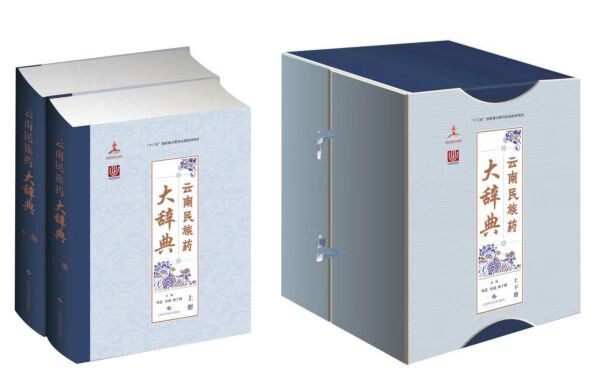 云南民族药大辞典(上下)(精)