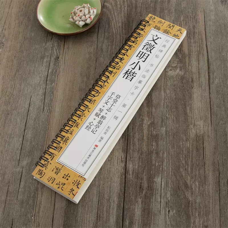 【现货可单选】唐怀仁集王羲之书圣教序赵孟