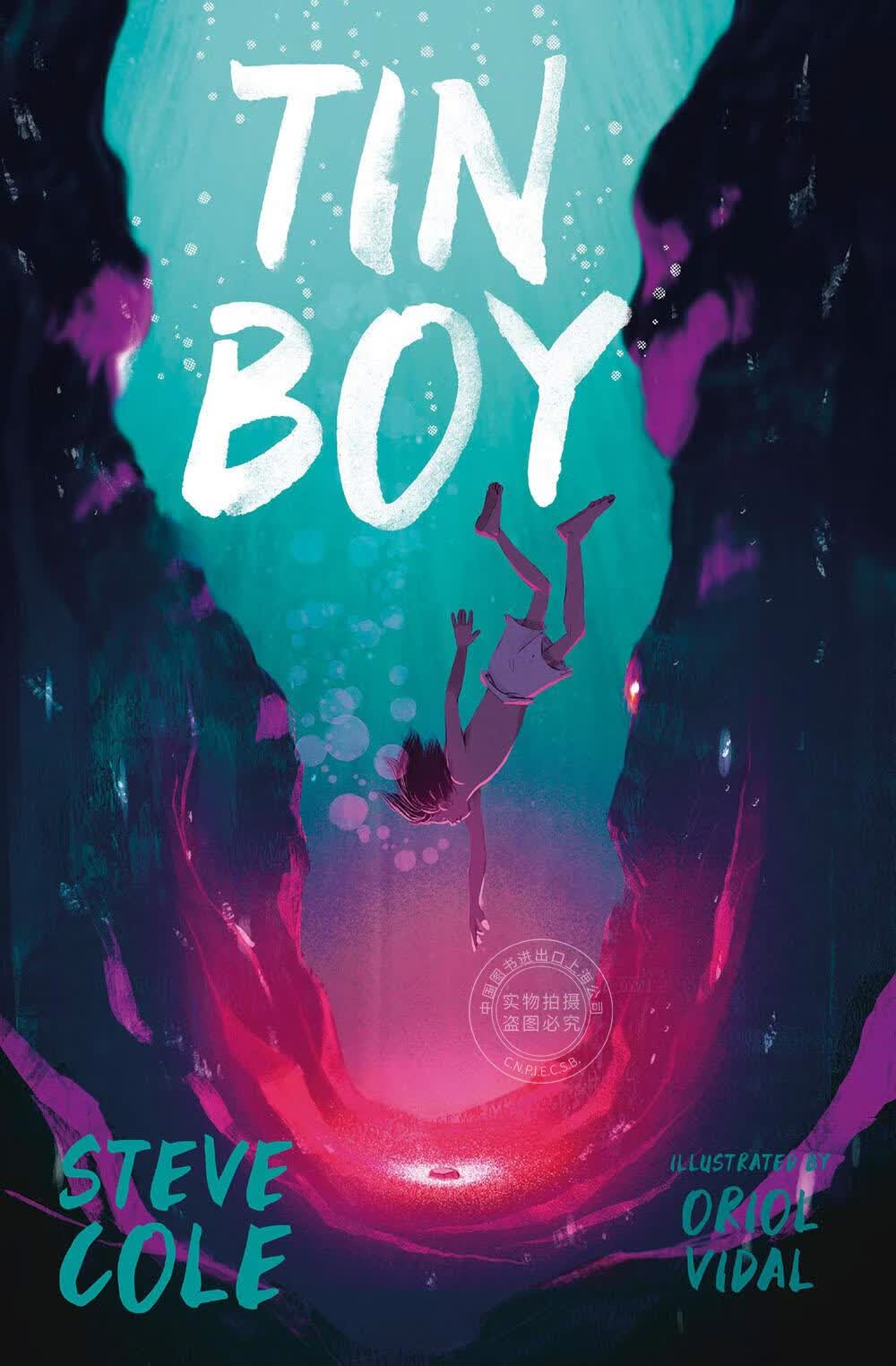 现货 Tin Boy 英文原版 外国儿童文学小说书
