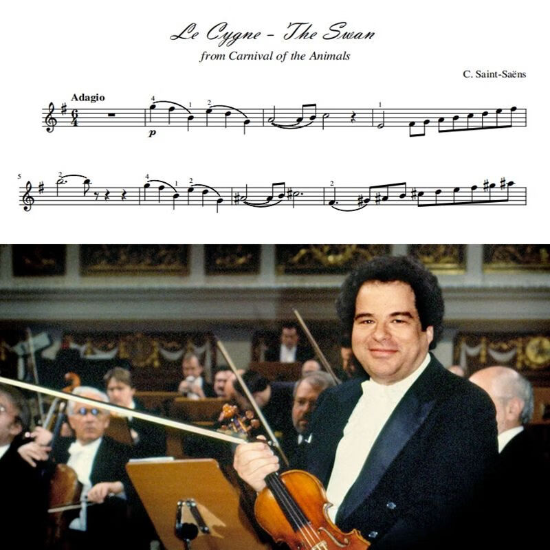 圣桑 天鹅 考级曲目 带指法 小提琴谱 钢伴谱 伴奏音频 演奏音频 乐谱