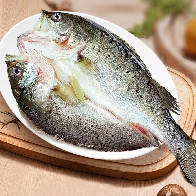 安峰山海鲈鱼新鲜冷冻鲜活开背深海鱼七星鱼海鱼海鲜水产 海鲈鱼400-4