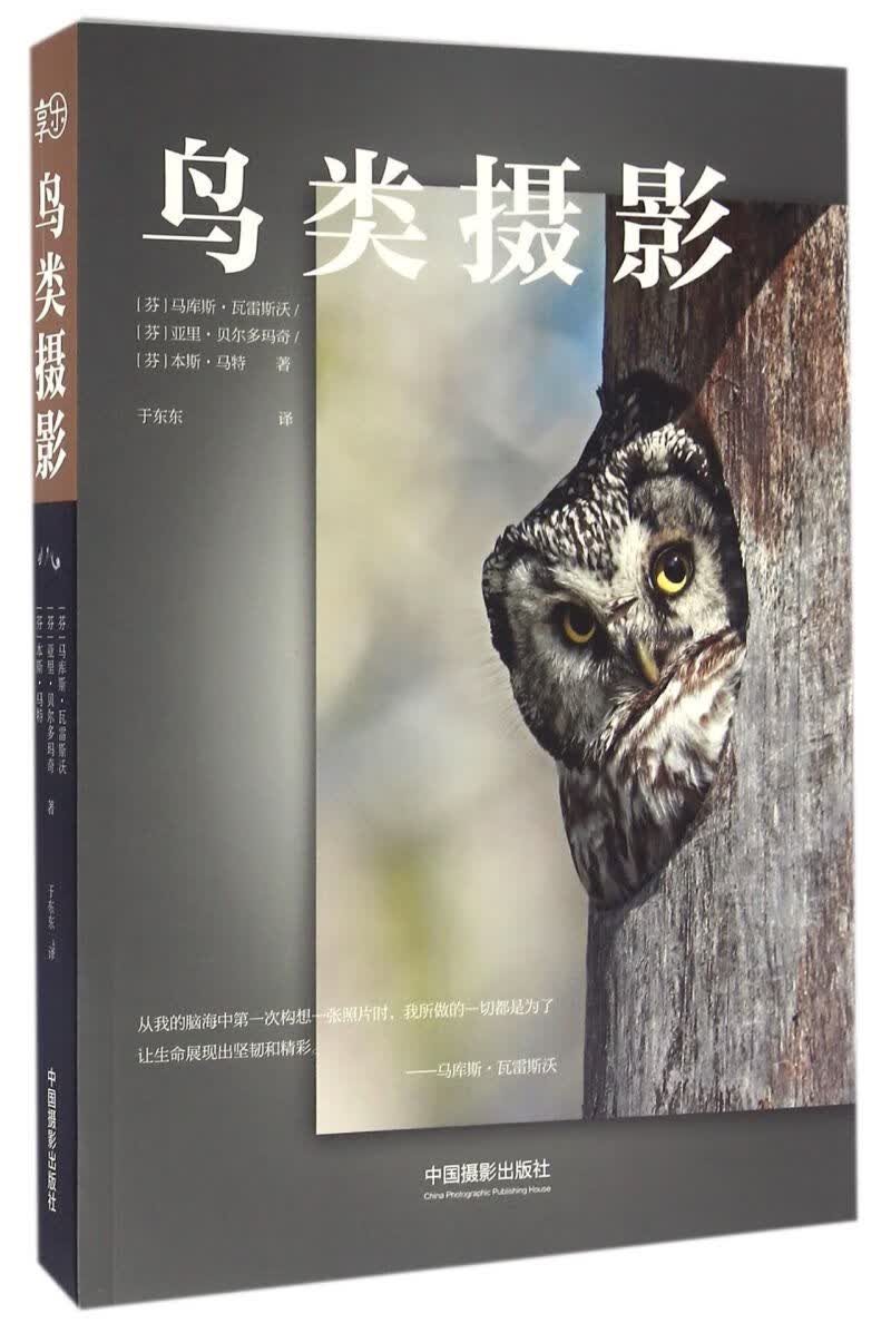 鸟类摄影