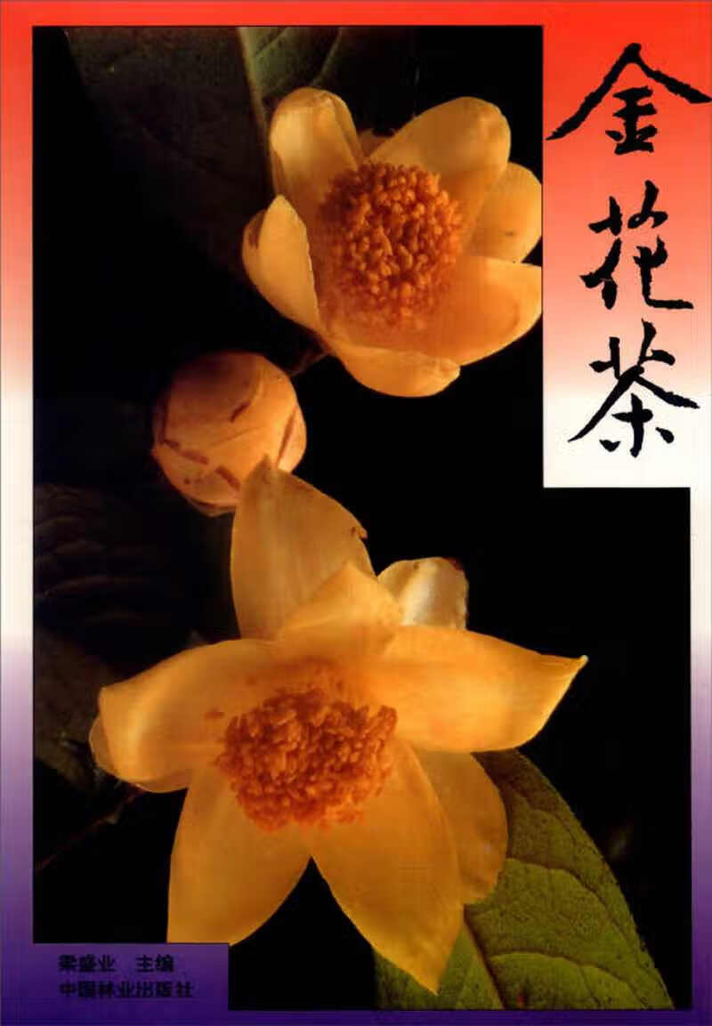 【正版书】金花茶