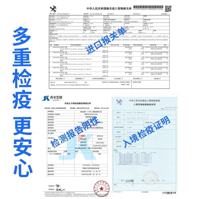 【膳富贵】俄罗斯生冻帝王蟹冰鲜活冻长脚蟹帝皇蟹海鲜水产礼盒 8-8.5斤一只 活冻帝王蟹