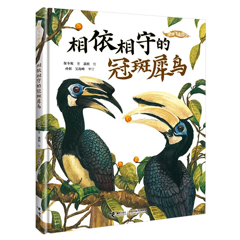 相依相守的冠斑犀鸟/我的飞鸟朋友系列