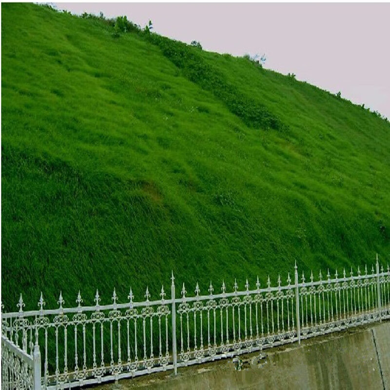 68公斤混合草籽护坡覆绿固土河堤矿山绿化