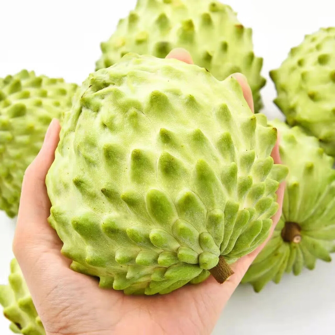 驰振牛奶凤梨释迦果新鲜水果番荔枝佛头摩尼果当季时令a 级水果礼盒 1